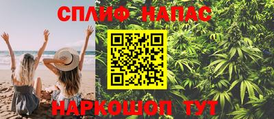 гидра Ачхой-Мартан