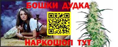 шишки Баксан