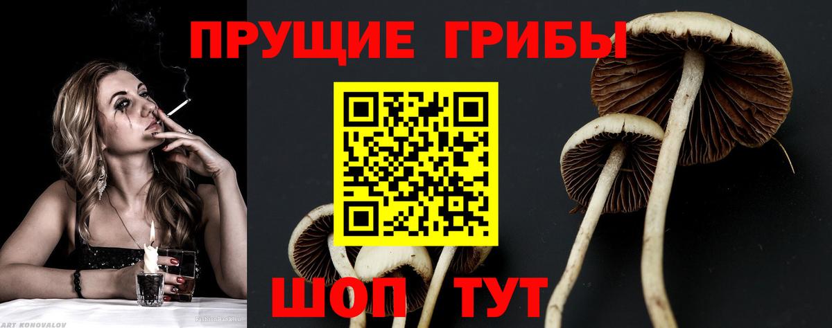 Галлюциногенные грибы прущие грибы  Вход с VPN  Всеволожск 